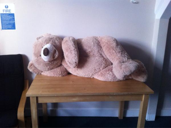CostcoBlogUK's tweet image. Latest shop resulted in an impulse buy of a 53" plush teddy bear #Costco