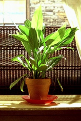 TheCleanerLeon's tweet image. My best friend is looking good today.