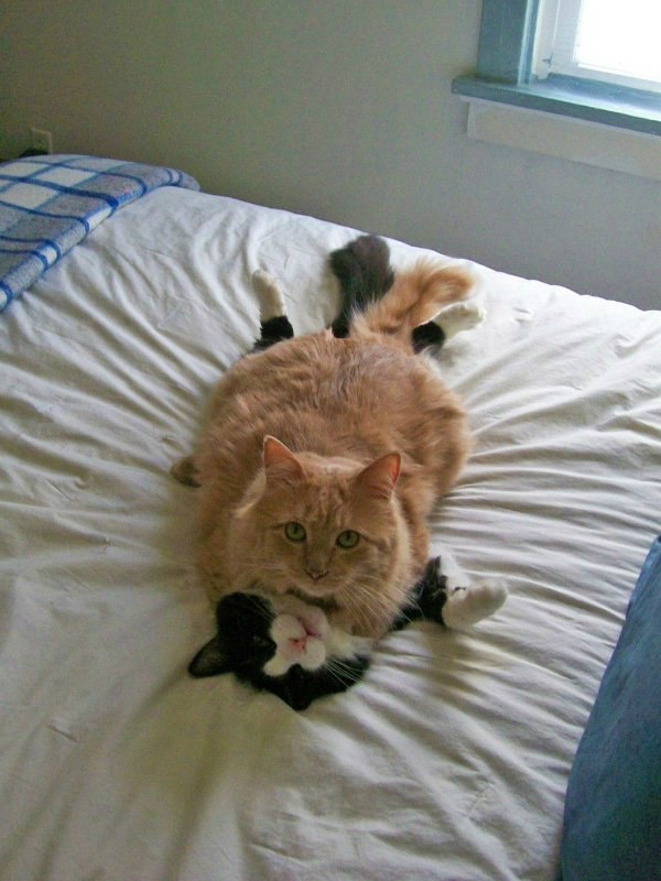 Betrapt....!