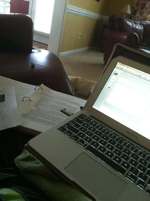 maddielewer's tweet image. What my day will consist of... #litproject
