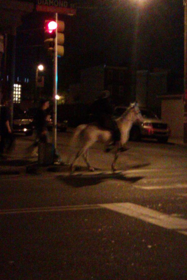 OhReal_Lee's tweet photo. only in north Philly do you see a guy riding on a horse at 10:30 pm #TUproblems http://t.co/bvR8lNVq
