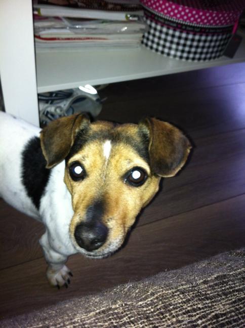 barryschipper's tweet photo. Killer http://t.co/9giCvUKj