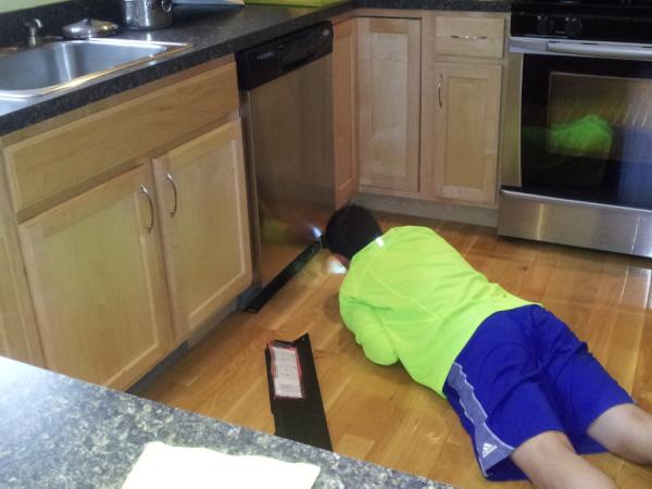 swapshop45's tweet image. @antgirolamo exterminator ant #antproblems