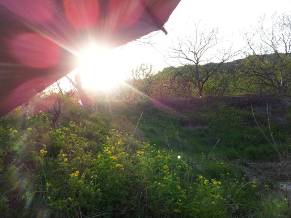 sisang99's tweet photo. 해가 지는 풍경 낚시가면 느낄수 있는  여유 로움 http://t.co/3UVPMaIR