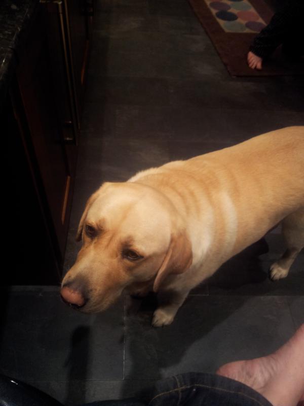 MrsAshe's tweet image. ribbles