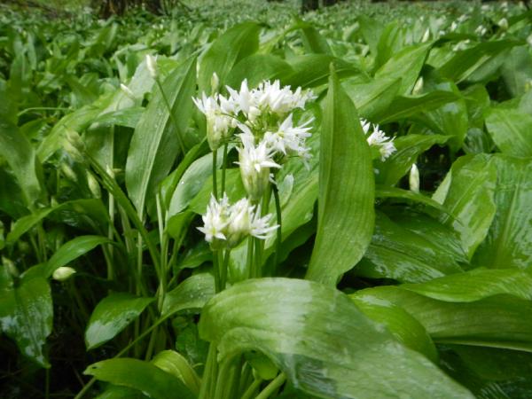 heather_brownUK's tweet image. ooooooh look what I found today!! #prewashed