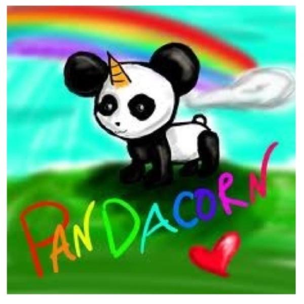 crixlee's tweet image. @aaronpaul_8 panda + unicorn = #Pandacorn. (his name is Steve)