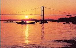 Mylife_KTV's tweet image. 이순신대교 관련 '현수교'라는 말이 많이 보이는데요. 현수교란 적당히 늘어지게 친 케이블이 본체를 구성하는 다리로, 사진 보시면 아 이거!하고 아실 거예요.미국의 골든게이트, 우리의 남해대교, 광안대교 등이 있죠.