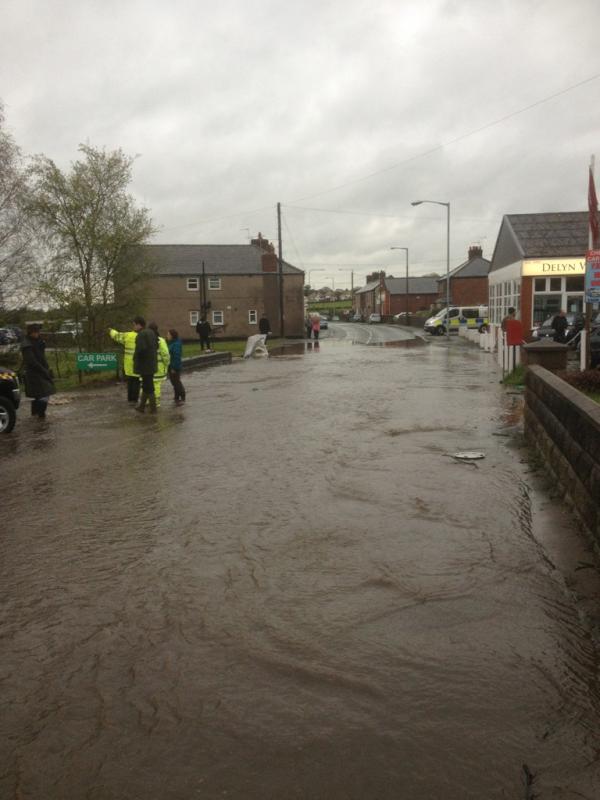 Rosiethewhippet's tweet image. Pfffft not going out in that @Clare_macleod must have taken the good weather with her to Cornwall miss you mummy xxxx