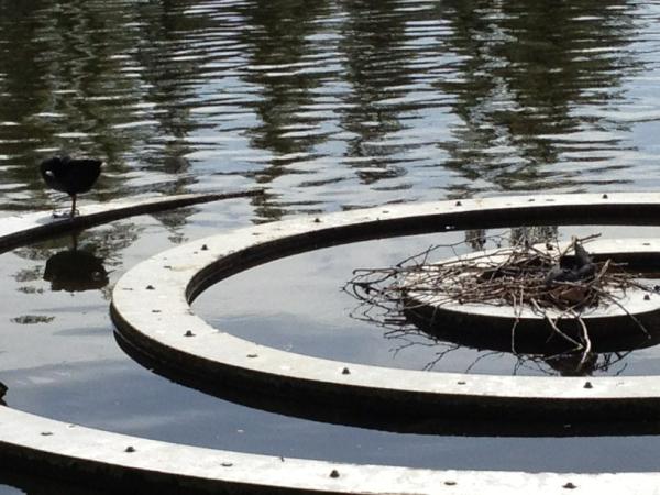 Ooievaar007's tweet image. Hebben schijt aan #kd2012