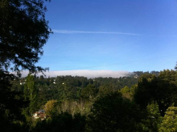 gebarch's tweet image. Beautiful morning at 5 Hillcrest following a terrific turnout during the Dwell/Marin Magazine Tour