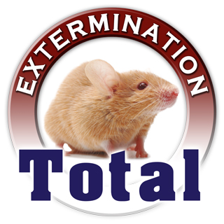 TotalExt's tweet image. Suivez-nous pour connaître toutes les promotions en extermination incluant achat de produit.