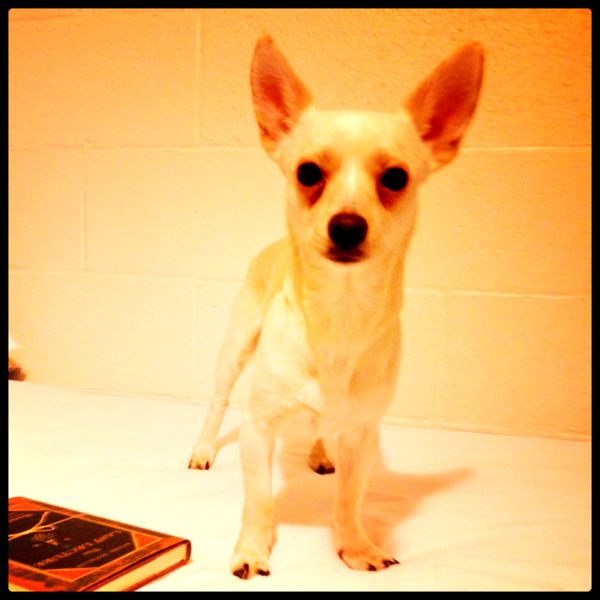 James Ramos tweet media