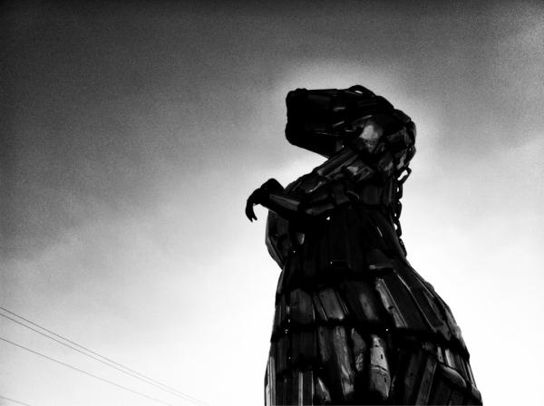 Cody_Gleason's tweet image. BWPOD: T-Rex