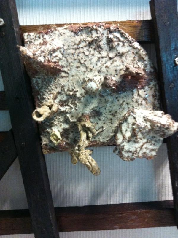 chewlee's tweet image. #lpetretreat11 FOR NARNIA!! Face all uncertainties with courage n creativity. keep imagining and keep trying!