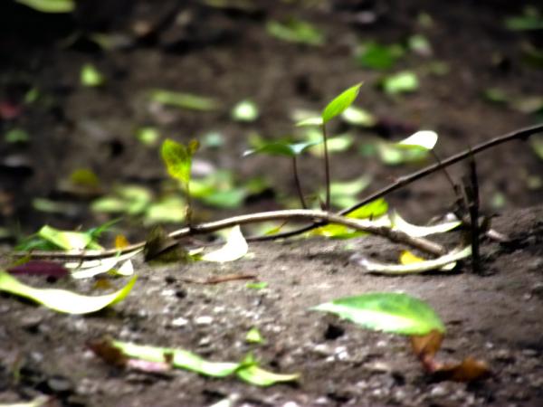 Ryan Hanson tweet media