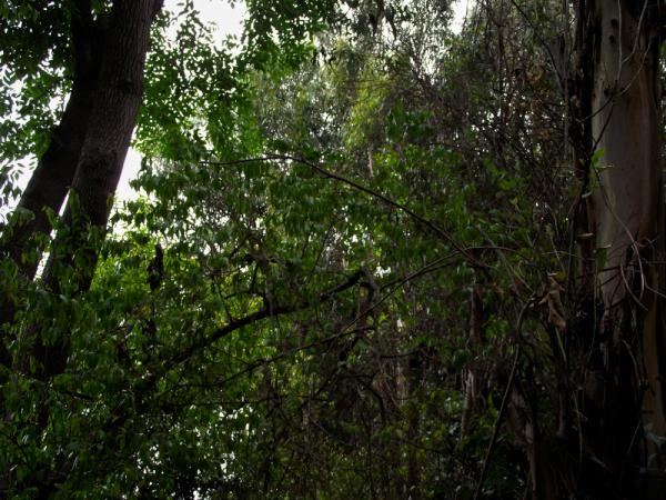 Ryan Hanson tweet media