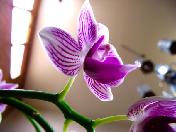 Ryan Hanson tweet media