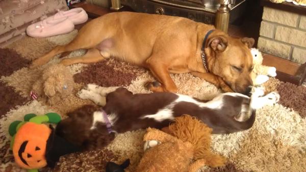 Sleepy time!