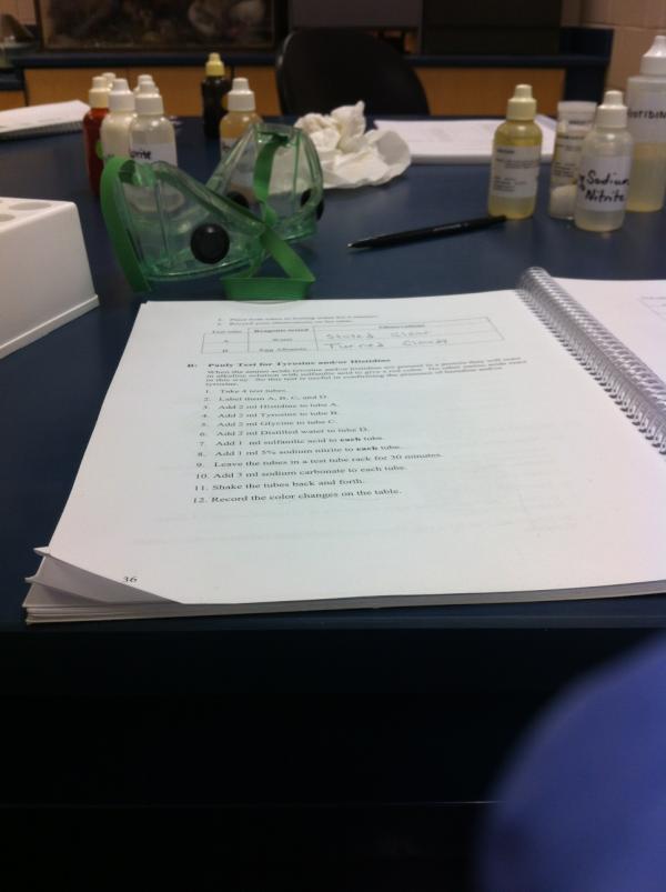 KevSoFlyy's tweet image. #LabFlow