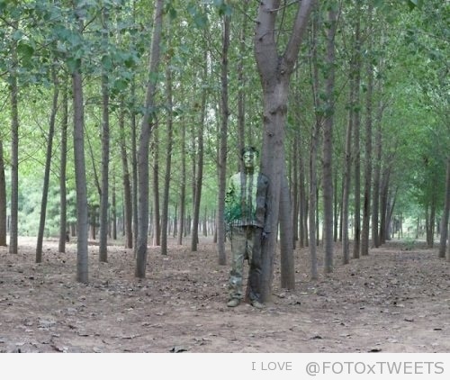 TweetsFoto5's tweet photo. #RetweetAlsJeHetZiet #FotoTweets http://t.co/oNKXV4vR