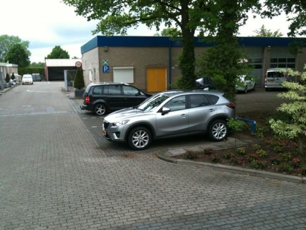 FjKuipers tweet picture