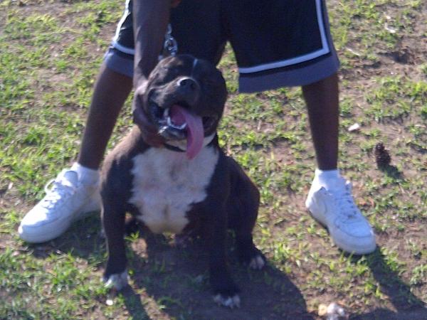 KG_Da_Don_2Real's tweet image. @I_SuCk_Ya_TiTs ....,Wuzzatnin....u ain't da only official nigga round hea bruh! U know wat time it is! #LinkUpTime