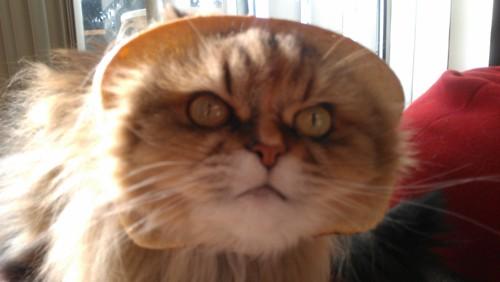 li3's tweet photo. http://t.co/daXqe2tq