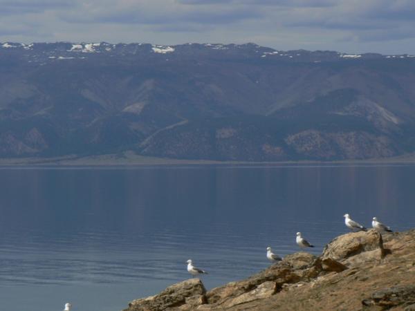 Lake #Baikal