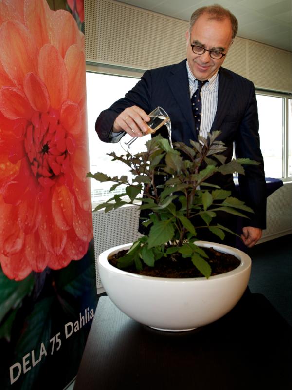 Vandaag presenteert #DELA haar eigen bloem, de DELA 75 Dahlia. En daar zijn we trots op! #herinneringsbloem