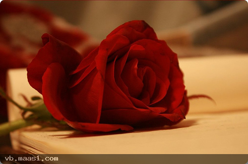 NoUr_202's tweet photo. أنتشر الكثير من المسلسلات التركية المؤثرة لدرجة أنك تبكى أمامها .. فلمااذل لم يكون بحياتنا حقاً أبطال مثلهم ....!! http://t.co/ILK358H9