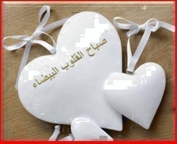 Alhala333's tweet photo. http://t.co/t5CLlh4O