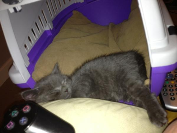 Titan Sleeping Weird lol