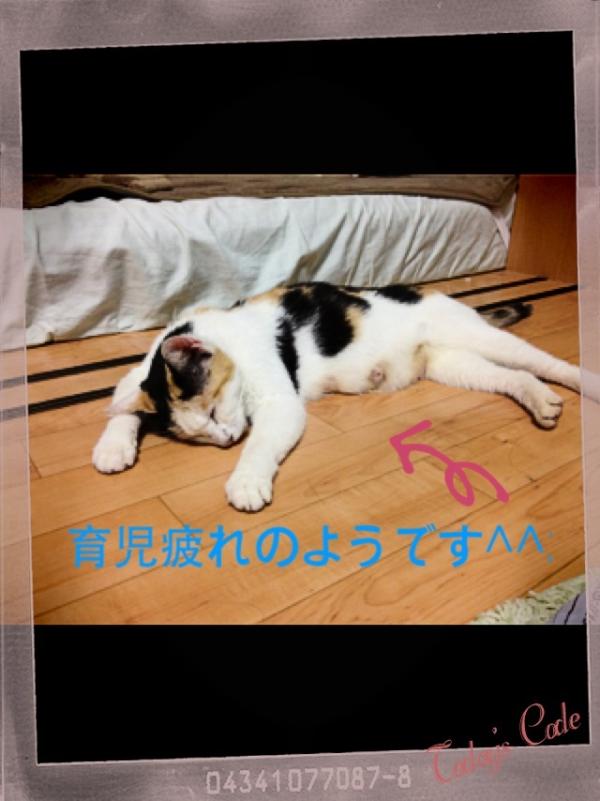 0220400157's tweet photo. ぐったりですね…(>_<) http://t.co/fW6sJrMP