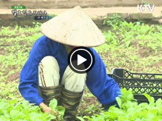 Mylife_KTV's tweet image. 헬로, 인도차이나 1부 - 세상에서 가장 소중한 농업(베트남) facebook.com/photo.php?fbid… 오늘 5시에 방영하는 2부 - “교육이 있어야 나라가 선다” : 캄보디아 편도 많은 시청 바랍니다. #KTV