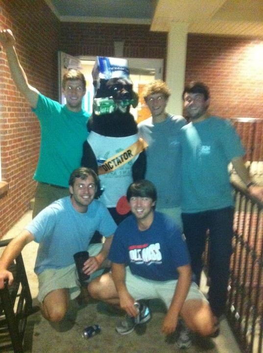 whadrews's tweet photo. We love the Sigma Nu black bear. Courtesy of Tal Braddock. @angedan92  @Wesley_Edwards @hthollem #DRob http://t.co/omjTYite
