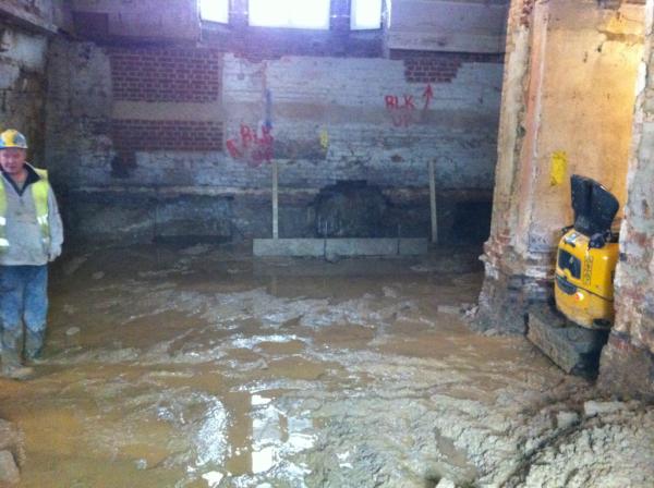 structuralws's tweet image. Right today Pinky, we are going to build an arc!!