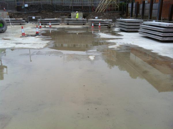 structuralws's tweet image. Look at the size of my pool!!!