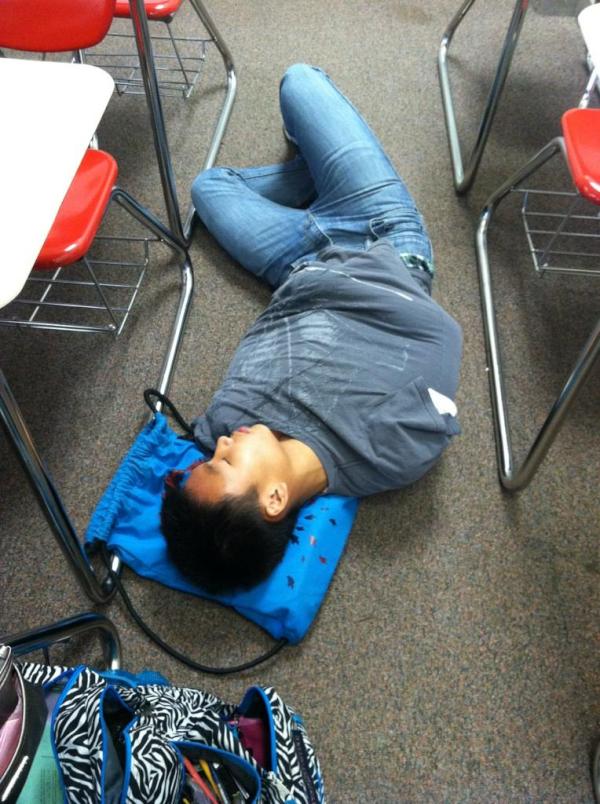 HayleyBlom's tweet image. Duc sleeping during school #naughtyboy #northproblems