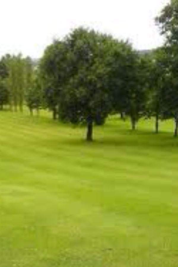 briggzboy's tweet image. "@BairdyO7: @sambjackson_ #treeboy #foliage #becomethetree #youareatree #leafy #mouldygreentree @briggzboy http://t.co/yBCxw4wH" #treebeard