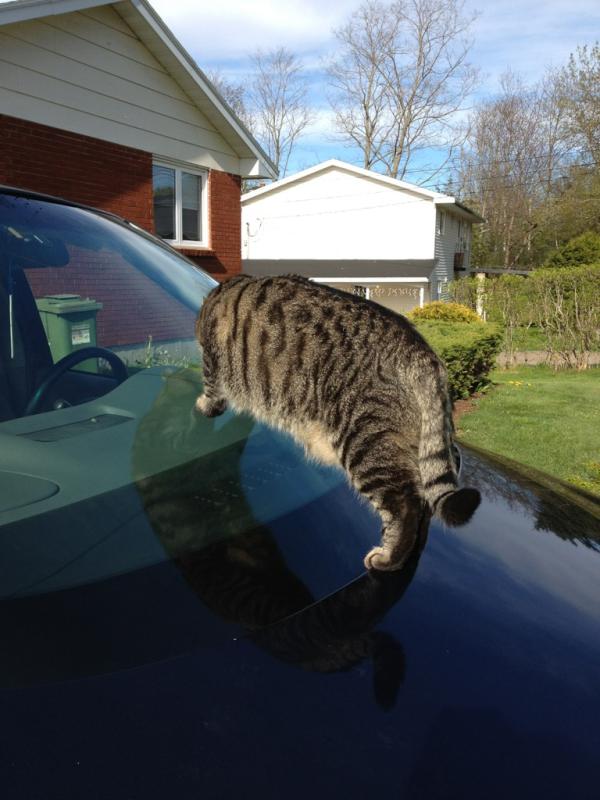 mcaldwell_18's tweet image. Thanks whin.. #justwashedit