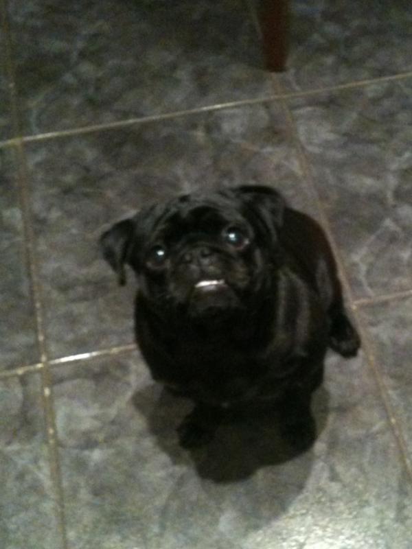 HotmailRiley's tweet image. #checkoutmegnashers