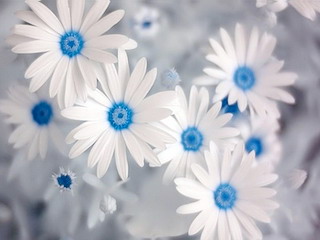 lightwind1's tweet image. Goooood Morning ......