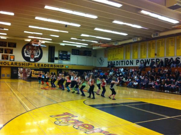 Terra Nova tweet media