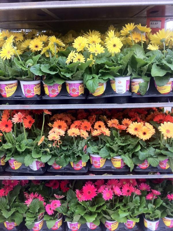 Which color is your favorite? <a href="/HomeDepot/">The Home Depot</a>.