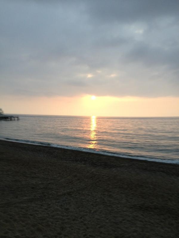 RealVolya tweet picture