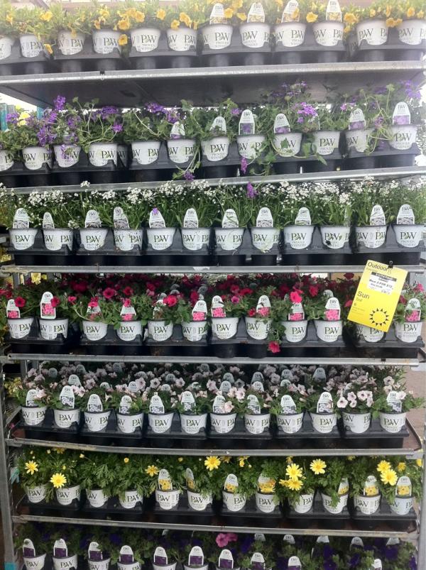 Did you pick up your <a href="/Proven_Winners/">Proven Winners</a> yet <a href="/HomeDepot/">The Home Depot</a>?