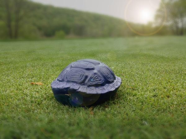 WhatsUpDavis's tweet image. #TeamBlue is looking strong today #golf #hollowbrook @hbgcproshop @hbgcgm. Day 2 #RyderCup