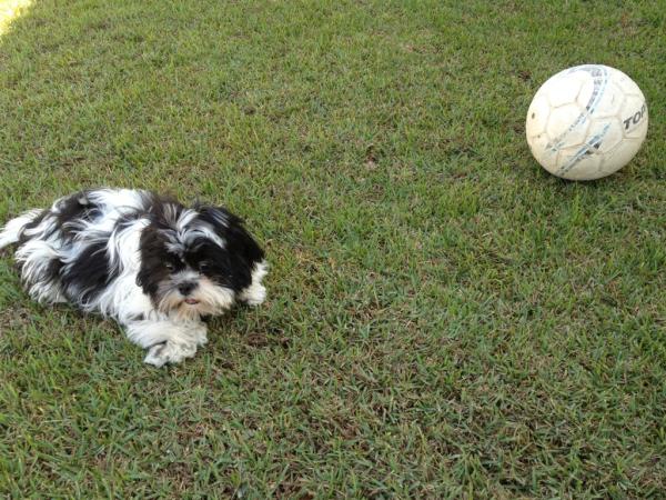 ElvisBorgesVip's tweet photo. Brincando de bola hj!!!! Vai corinthians! http://t.co/jGBwvc7S
