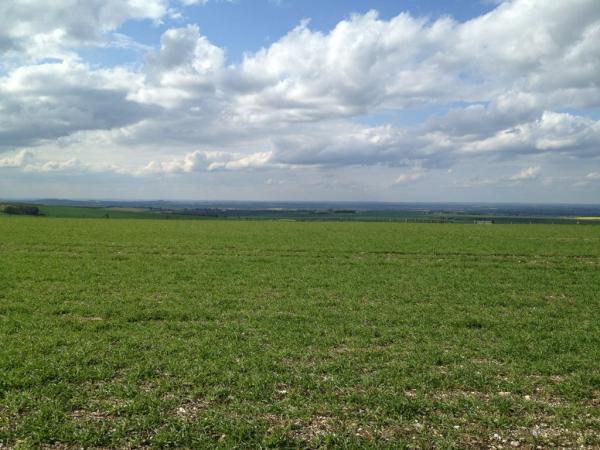 Faringdon YFC tweet media